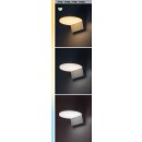 Rabalux 98077120 LED Außenwandleuchte Batida  | 9W integrierte LED-Quelle | 950lm | 2700+4000K