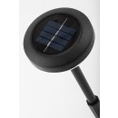 Rabalux 98077177 LED solar Erdspießleuchte Monor | 0,1W integrierte LED-Quelle | 3lm | 3000K