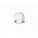 Philips 53200/31/16 Decken- und Spotleuchte 1x3W Afzelia | 2700K