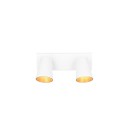 Trio T817100231 Spot-Deckenleuchte SHARP GU10