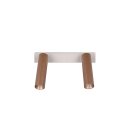 Trio T849210265 LED Spot-Deckenleuchte AMBALA  | 5W integrierte LED-Quelle | 2x500lm | 2300+3000+4000K | braun