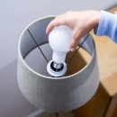 WiZ Colors 8718699787059 Intelligente LED-Lampe E27 | 1x8w | 806lm | 2200-6500K | RGB