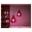 Philips Hue 8719514291171 LED-Lampe 1x9w | E27 | 1100lm | 2000-6500K | RGB - dimmbar, Bluetooth, White and color Ambiance