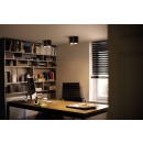 Philips Hue 8719514338425 LED Deckenleuchte Pillar 2x5w | Gu10 | 700lm | 2200-6500K - Fernbedienung, Bluetooth, dimmbar, White Ambiance, schwarz