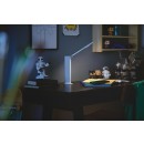 Philips 8719514420373 Tragbare LED-Touch-Tischlampe Amber 1x5W | 120lm | 4000K - USB, dimmbar, weiß