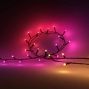 Philips Hue 8720169246621 LED Weihnachtslichterkette Festavia | 14W integrierte LED-Quelle