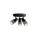 Philips 8720169299351 Spot-Deckenleuchte Palms  E14