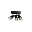 Philips 8720169299351 Spot-Deckenleuchte Palms  E14
