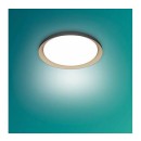 Philips 8720169301115 LED Deckenleuchte Pebblo  | 10W integrierte LED-Quelle | 1950lm | 4000K