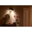 Philips 8720169319271 Spot-Deckenleuchte Fugato  | 2x4,2W GU10 | 2000-6500, RGBK
