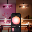 Philips Hue 8720169392182 LED intelligente Lampe Essential  | 8W E27  LED | 806lm | 2200-6500+RGBK | Dimmer | rgb - farbig | intelligent | HUE White and Color Ambiance | HUE | weiß