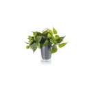 Trio 92945 Kunststoff-Blume Werbematerial - Trio-Plant, grün
