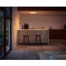 Philips Hue  8721103044594 Deckenleuchte Surimu  | 60W integrierte LED-Quelle | 2850lm | 2000-6500K | rgb - farbig | Dimmer | weiß