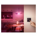 Philips Hue 8719514440937 Hue Tap Dial Switch Intelligente Fernbedienung – Schwarz, CR2032-Batterie enthalten