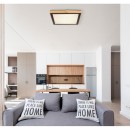 Globo 41764-24Q LED-Deckenleuchte Bruno 1x24W | 1020lm | 3000-4500-6000K - opal, schwarz, braun