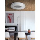 Palnas 601001043 LED Deckenleuchte Evik 4200K