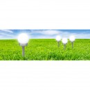Globo 33770-3 LED Außen Solarleuchte 1x0,06W | IP44 - Erdspieß, Set 3 Leuchten, weiß, silber