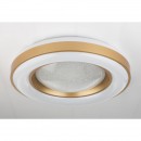 Globo 41742-48RGB LED Deckenleuchte Colla 1x48W | 200-2000lm | 3000K-6500K | RGB - Fernbedienung, dimmbar, Farbwechsler, Farbfixierung, Nachtbeleuchtung, weiß