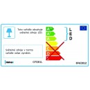 Immax NEO 07081L LED Wand- und Deckenleuchte Caravana 1x35W | 2700-6500K