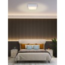 Immax NEO 07238L LED Deckenleuchte CANTO SLIM | 22W integrierte LED-Quelle | 1610lm | 3000-6000K