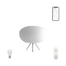 Immax NEO 07065L LED Lampe stoplní Cocono 1x8,5W | 2700K | RGB