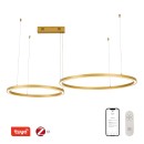 Immax NEO 07218L LED Pendelleuchte CANTO  | 60W integrierte LED-Quelle