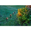 Immax 07903L LED solar LITE REFLECTORES | 4W integrierte LED-Quelle | 2700K - 6500K