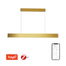 Immax 07157-G120X LED-Deckenpendelleuchte Neo Fino 1x40W | 2824lm | 2700-6500K | RGB - dimmbar, Fernbedienung, intelligent, gold