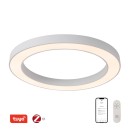 Immax NEO 07213L LED Deckenleuchte PASTEL | 52W integrierte LED-Quelle