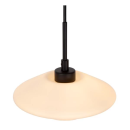 Lucide L254142061 Pendelleuchte TREVOR  G9