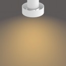Philips 50602/31/P0 Decken- und Spotleuchte Bukko 2x4,3W | 2200-2700K - SceneSwitch