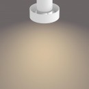 Philips 50602/31/P0 Decken- und Spotleuchte Bukko 2x4,3W | 2200-2700K - SceneSwitch