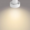 Philips 50602/31/P0 Decken- und Spotleuchte Bukko 2x4,3W | 2200-2700K - SceneSwitch