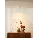 Lucide 09100/01/31 Deckenleuchte Bodi 1x50W | GU10