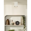 Lucide 22953/01/31 Decken- und Spotleuchte Tube 1x42W | GU10 |