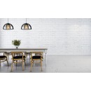 Lucide 76464/02/30 Pendelleuchte Dikra1x60W | E27