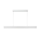Lucide L454553631 LED Pendelleuchte RAYA  | 36W integrierte LED-Quelle | 4000lm | 2700K