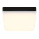 Globo 12388-8 LED Deckenleuchte MATTHEW  | 8W integrierte LED-Quelle | 570lm | 4000K
