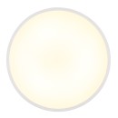 Globo NIELSEN 41566-20W LED Deckenleuchte | 20W LED | 1000lm | 4000K