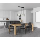 Italux PND-53423-3-BK Pendelleuchte Grosetta G9