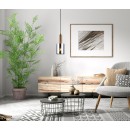 Italux PND-5581-1-BRO+SG Sardo | 40W E27