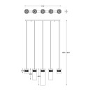Zuma Line 003064-010934 Pendelleuchte GEM G9