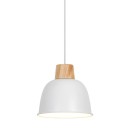 Zuma Line 003064-027535 Pendelleuchte ORLO E27