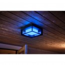 Philips Hue 17438/30/P7 Außenwandleuchte Econic 1X15W | 2200-6500K | RGB | IP44 - White and Color Ambiance