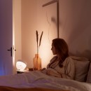 Philips Hue 8719514264540 LED Lampe Iris 4 Generation 1x8,1W | 2000-6500K - Bluetooth, White and Color Ambiance, silber, Limited Edition