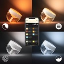 Philips Hue 8719514264540 LED Lampe Iris 4 Generation 1x8,1W | 2000-6500K - Bluetooth, White and Color Ambiance, silber, Limited Edition