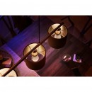 Philips Hue 8719514266902 2x LED Lampe 1x5,5W | E14 | 470lm | 2700K - Bluetooth, weiß