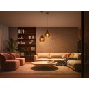 Philips Hue 87195142911111 LED 1x8w | E27 | 1100lm | 2200-6500K - White Ambiance, dimmbar, Bluetooth