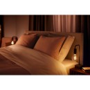 Philips Farbton 8719514301481 LED Filament G93 1x7w | E27 | 550lm | 2200-4500K - White Ambiance, dimmbar, Bluetooth