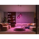Philips Hue 8719514291379 Lampen und Hue Bridge Starter Kit 2x11W | E27 | 806-1100lm | 2000-6500K | RGB - White and Color Ambiance, Bluetooth, Zigbee, Fernbedienung, weiß